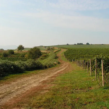 Fojtova Studna 3* Sedlec (Breclav)